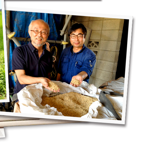 生産者直送の精米したてのモチモチご飯！